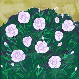 Meet your Posher, Quinn